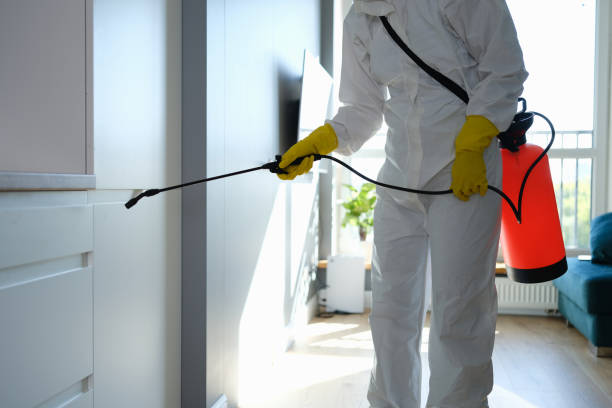 Best Mold Testing  in Ferndale, WA
