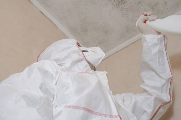 Best Water Damage Restoration  in Ferndale, WA