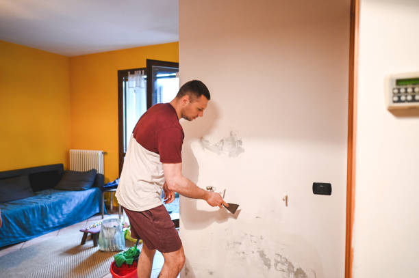Best Black Mold Removal  in Ferndale, WA