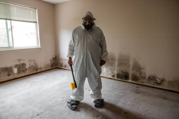 Best Mold Cleaning Services  in Ferndale, WA